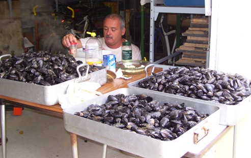les moules